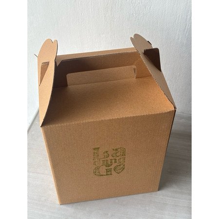 LadangGo Plant Kit | Growing Kit for Beginners
