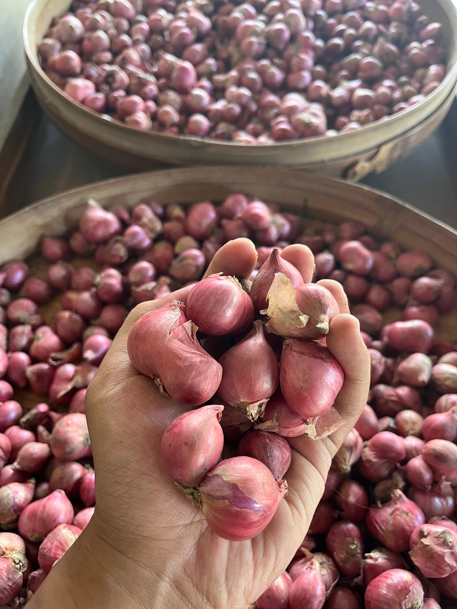 Selection Vegetable_3