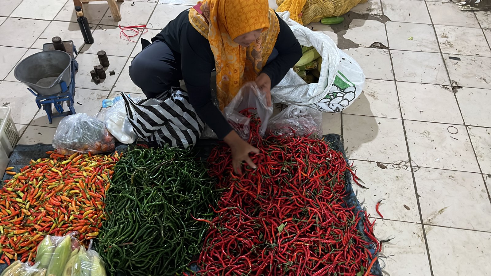 Selection Vegetable_2