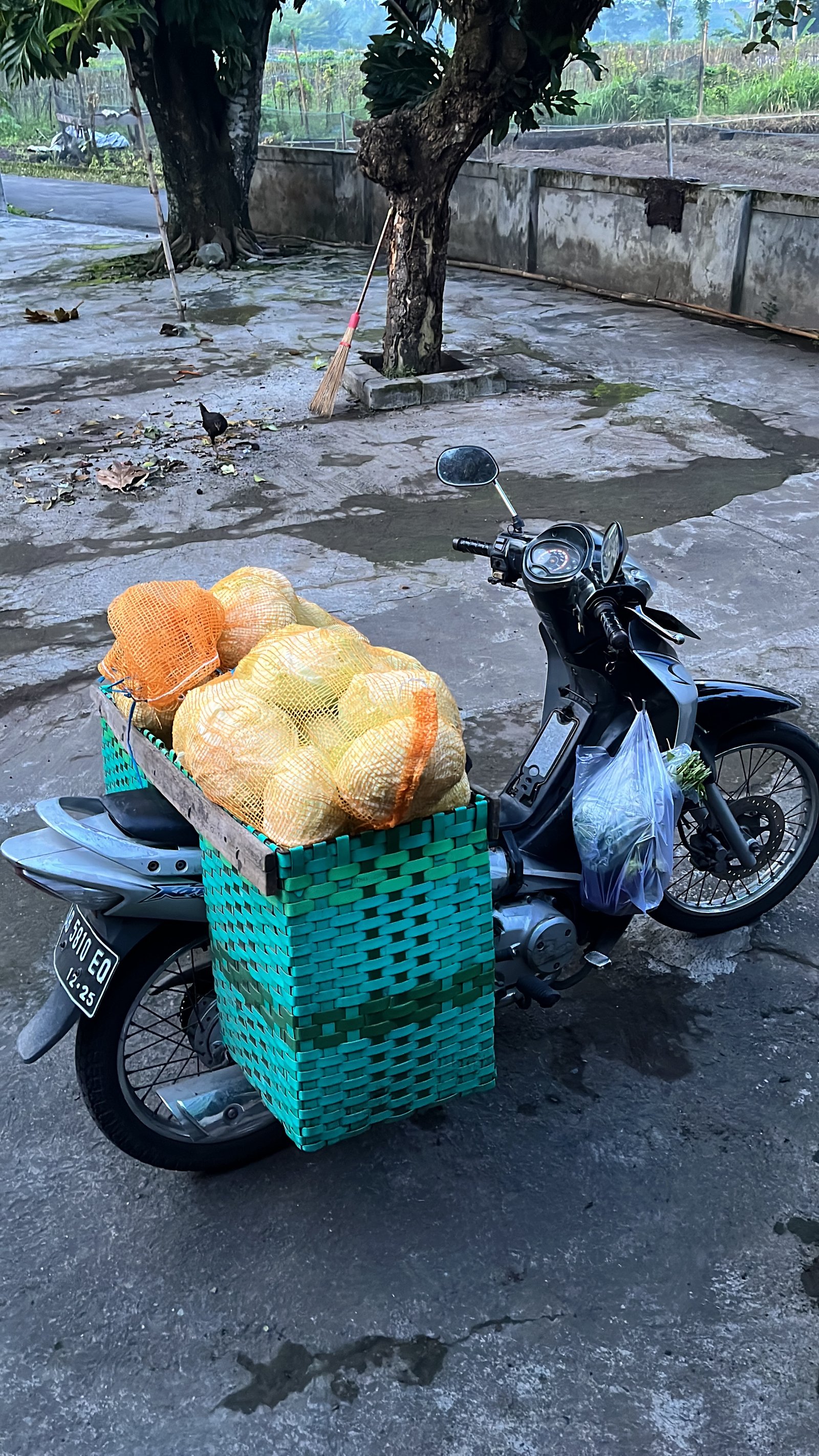 Go To Delivery_1