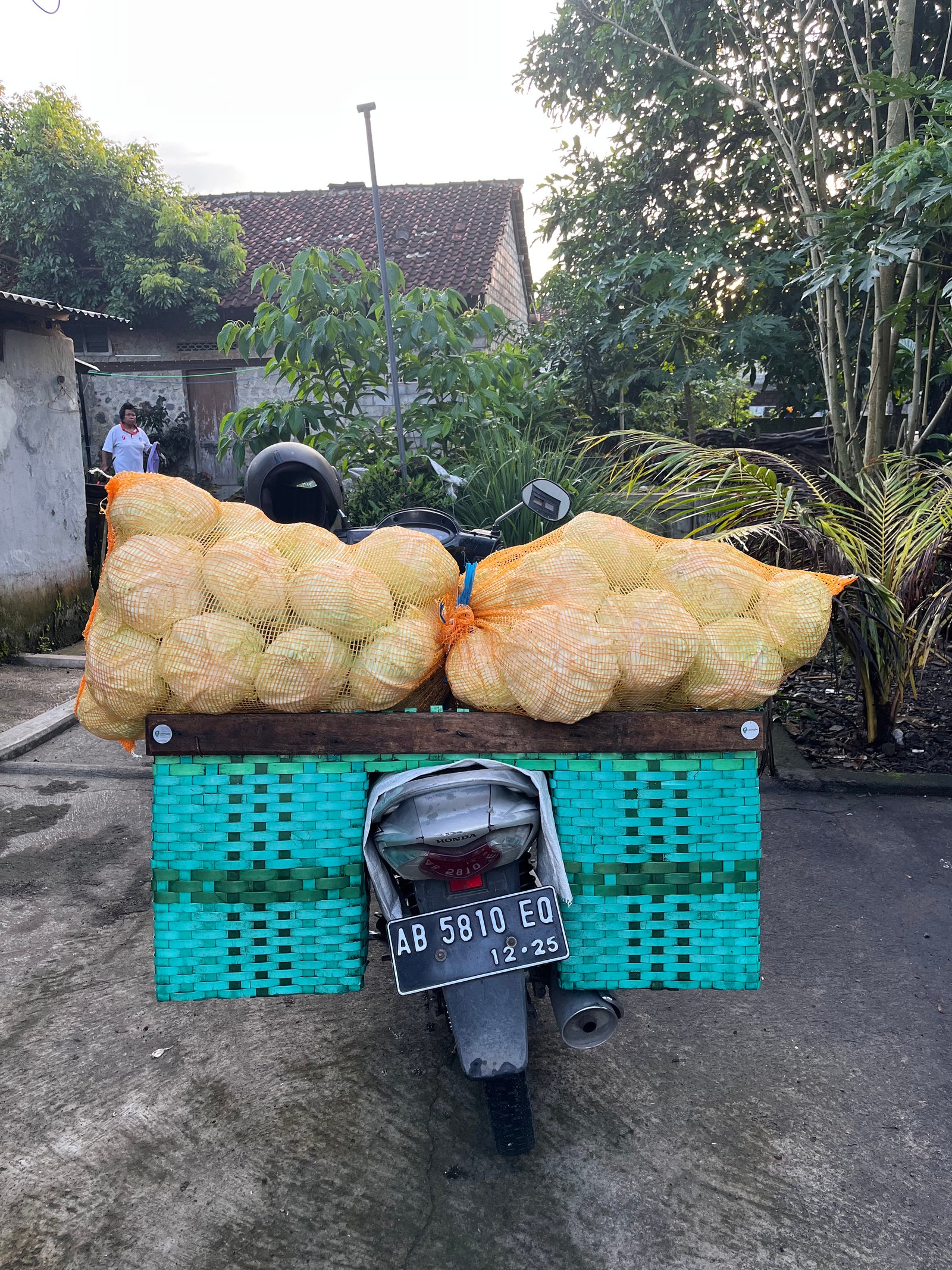 Go To Delivery_2