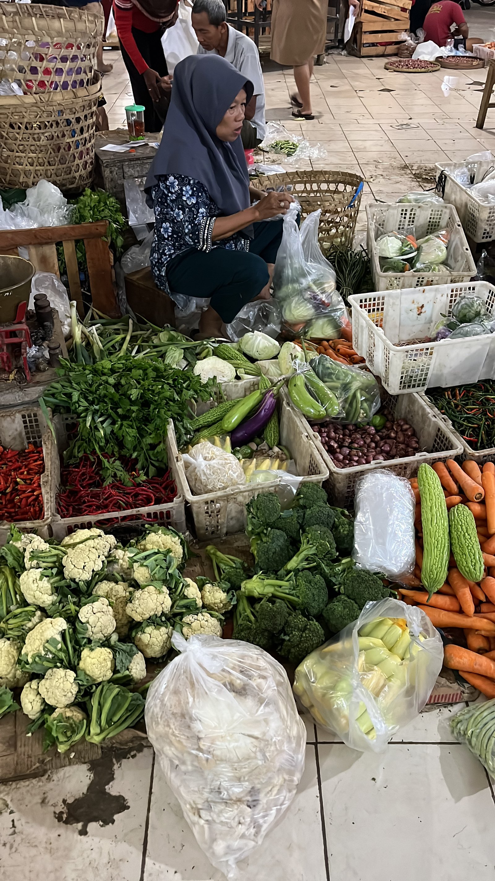 Selection Vegetable_1